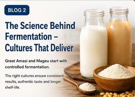 MASTERING YOUR AMASI & MAGEU PRODUCTION - PART 2/3